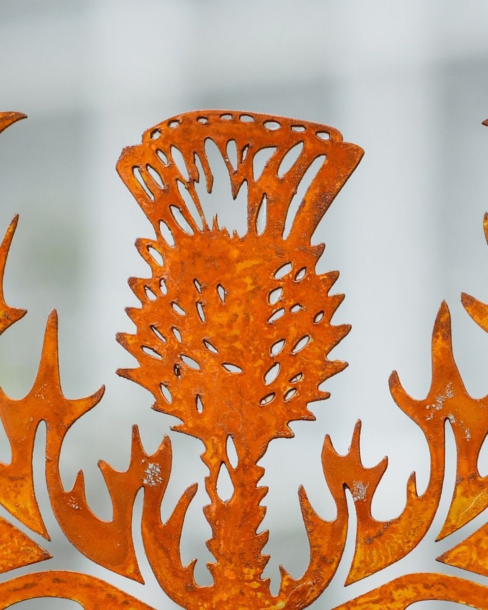 Rustic Scottish Thistle Artistic Plant Pot Spike - Set of Two close up of flower