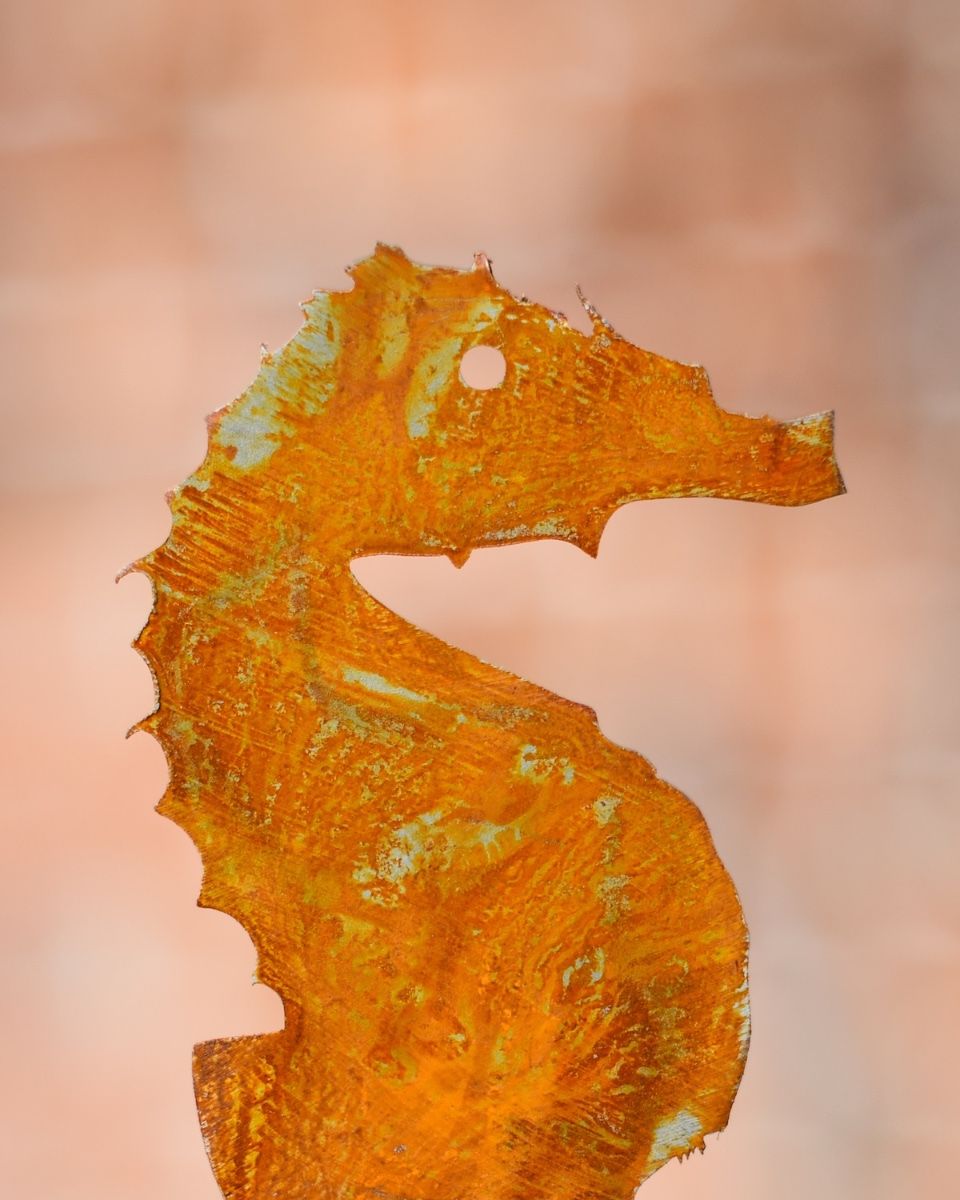 Rustic Seahorse Artistic Plant Pot Spike - Set of Two close up of head