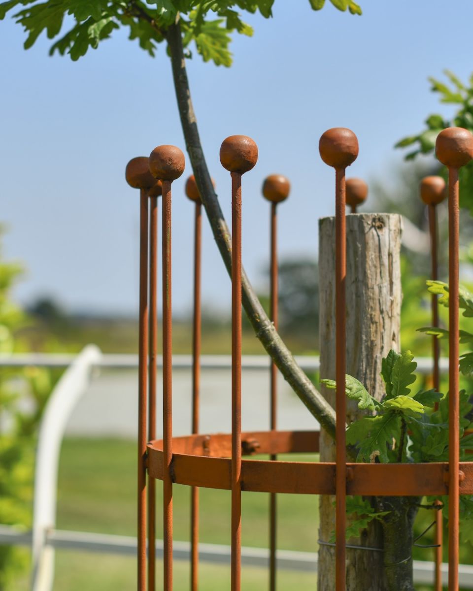 Close up of top detailing on rustic finish tree guard Close up of top detailing on rustic finish tree guard