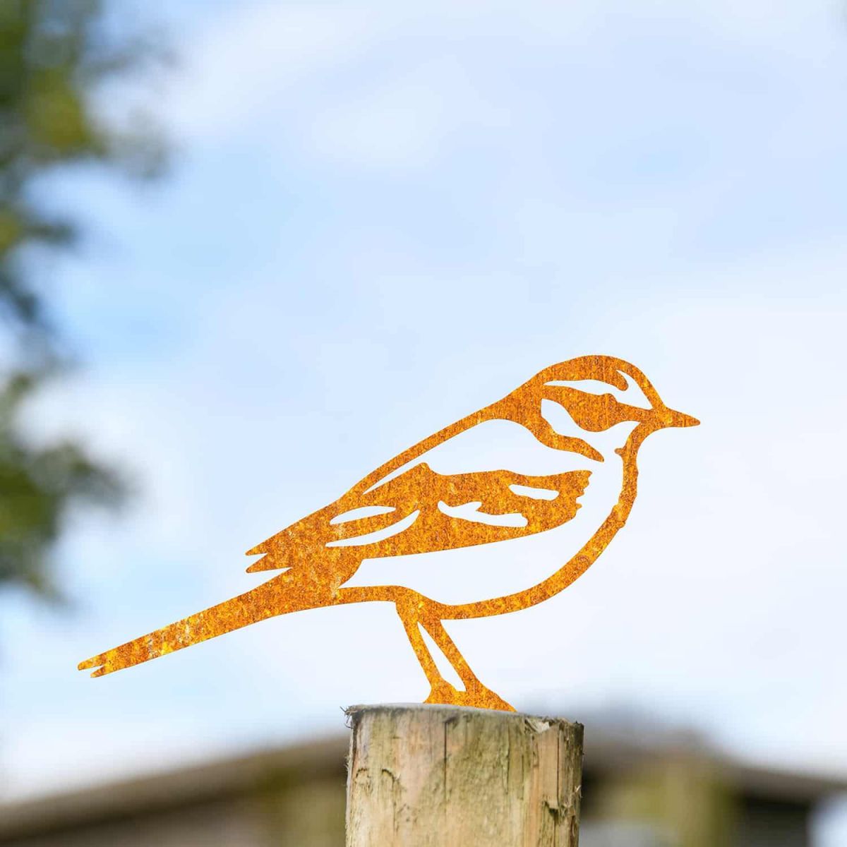 Rustic Yellow Wagtail Steel Fence Topper
