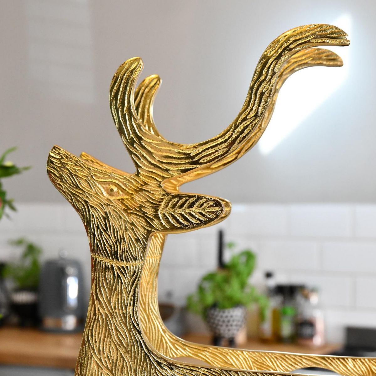 Close up of "Stag" antlers on wine rack 