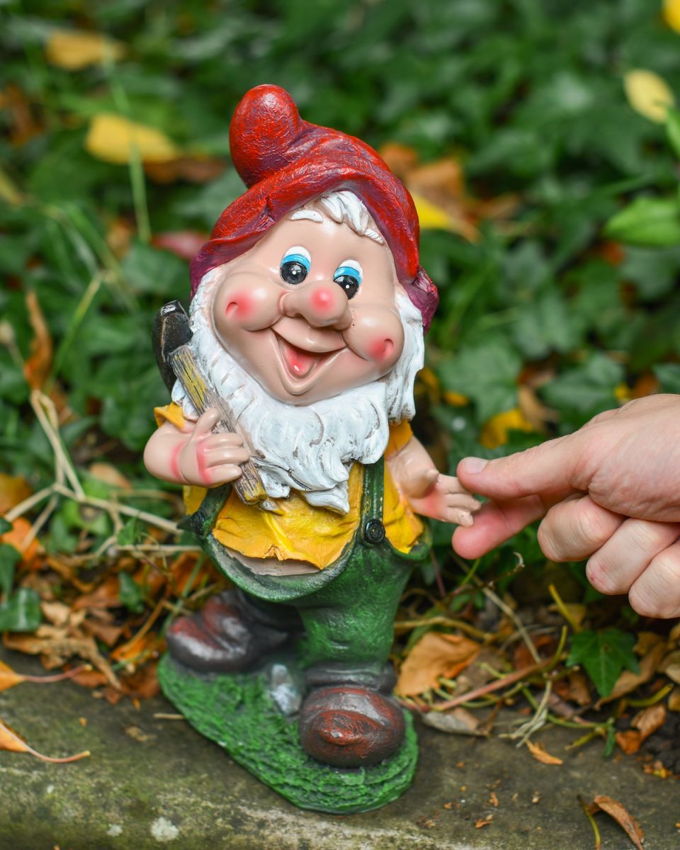 Scale image of colourful garden gnome ornament