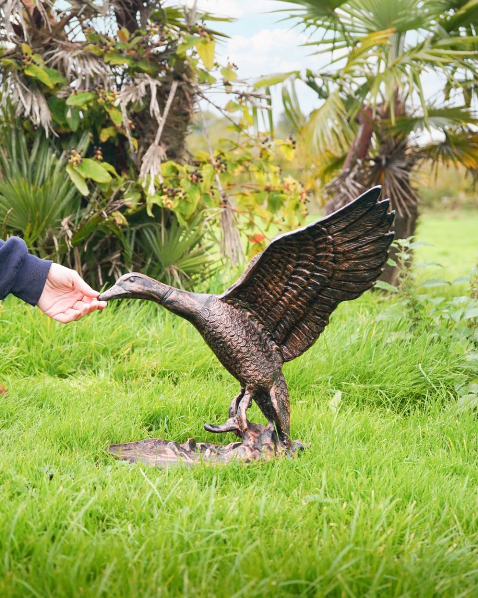 Scale image of Bronze Volans Flying Duck Sculpture