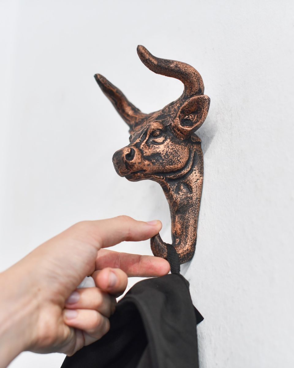 Scale in situ photo of Copper Bull Hook