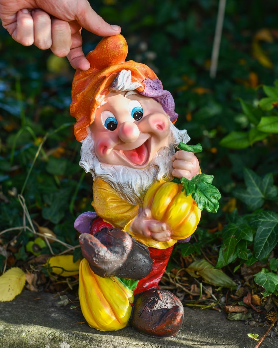 Scale image of colourful garden gnome statue