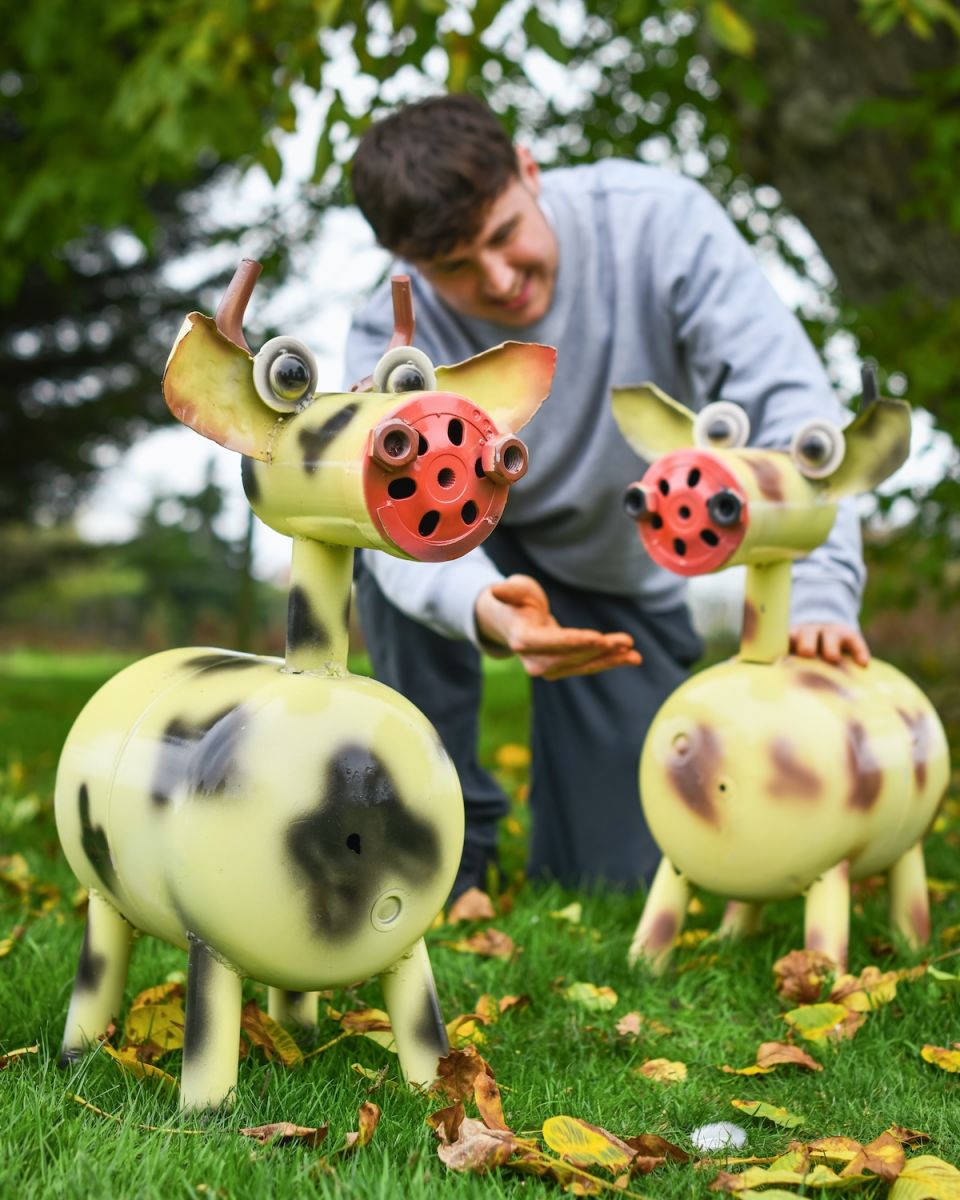 Scale image of recycled gas cannister cow garden sculpture 