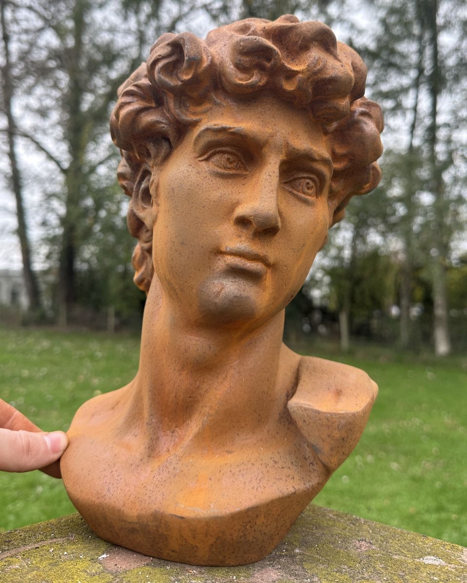 Scale image of Rustic Cast Iron "Bust of David" Garden Sculpture