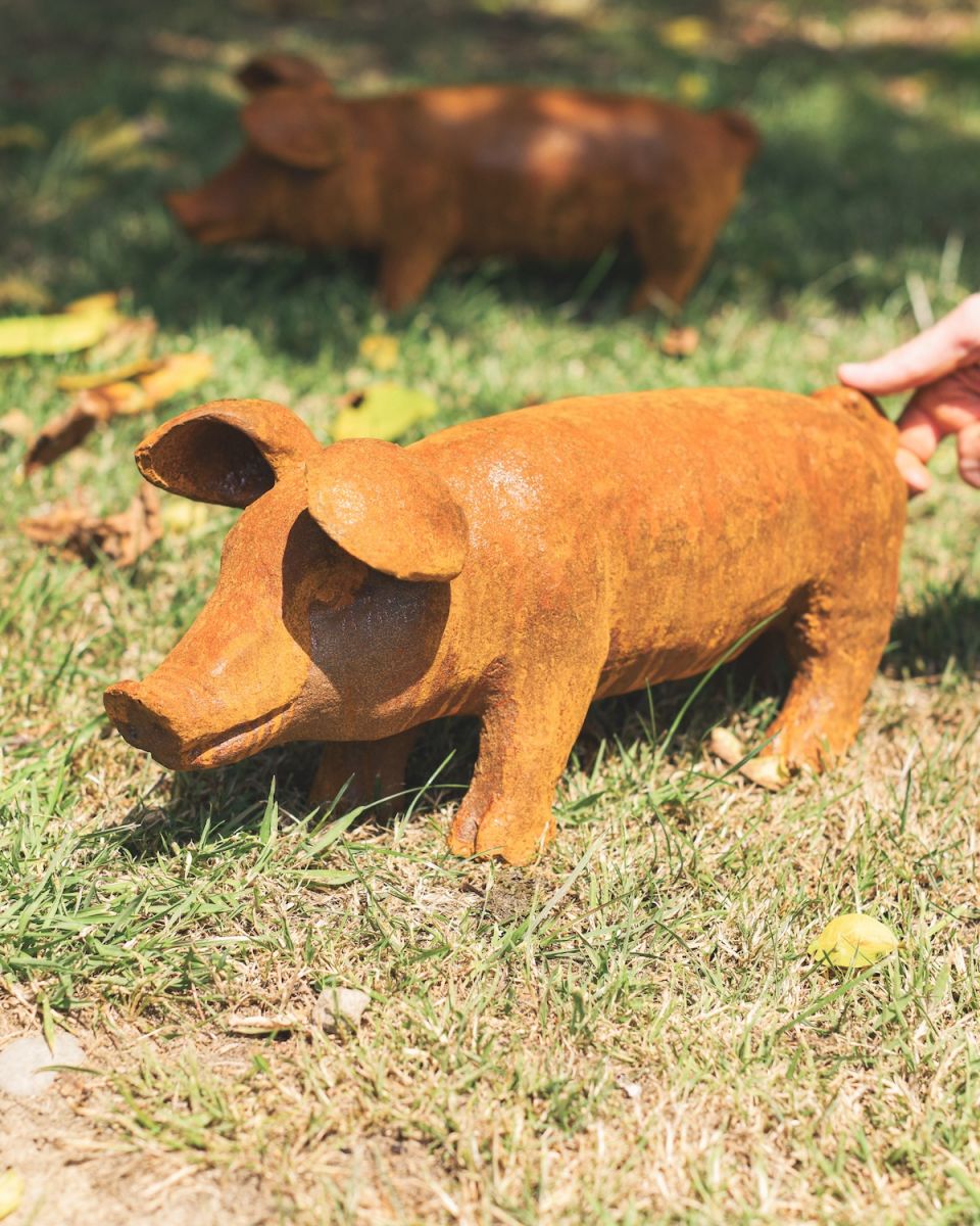 Scale image of medium rustic finish cast iron pig sculpture