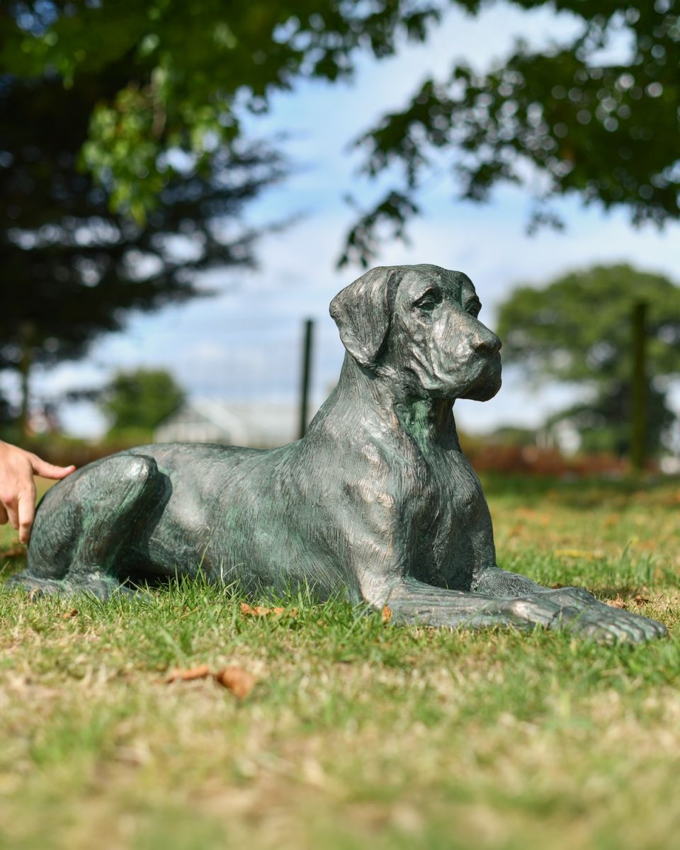 Scale image of "Hank" the Verdigris Great Dane Dog Sculpture