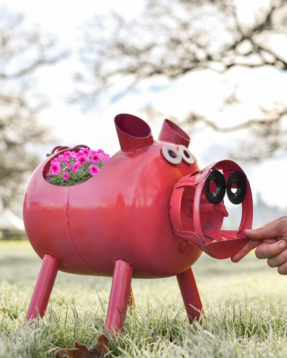 Pig Planter to scale