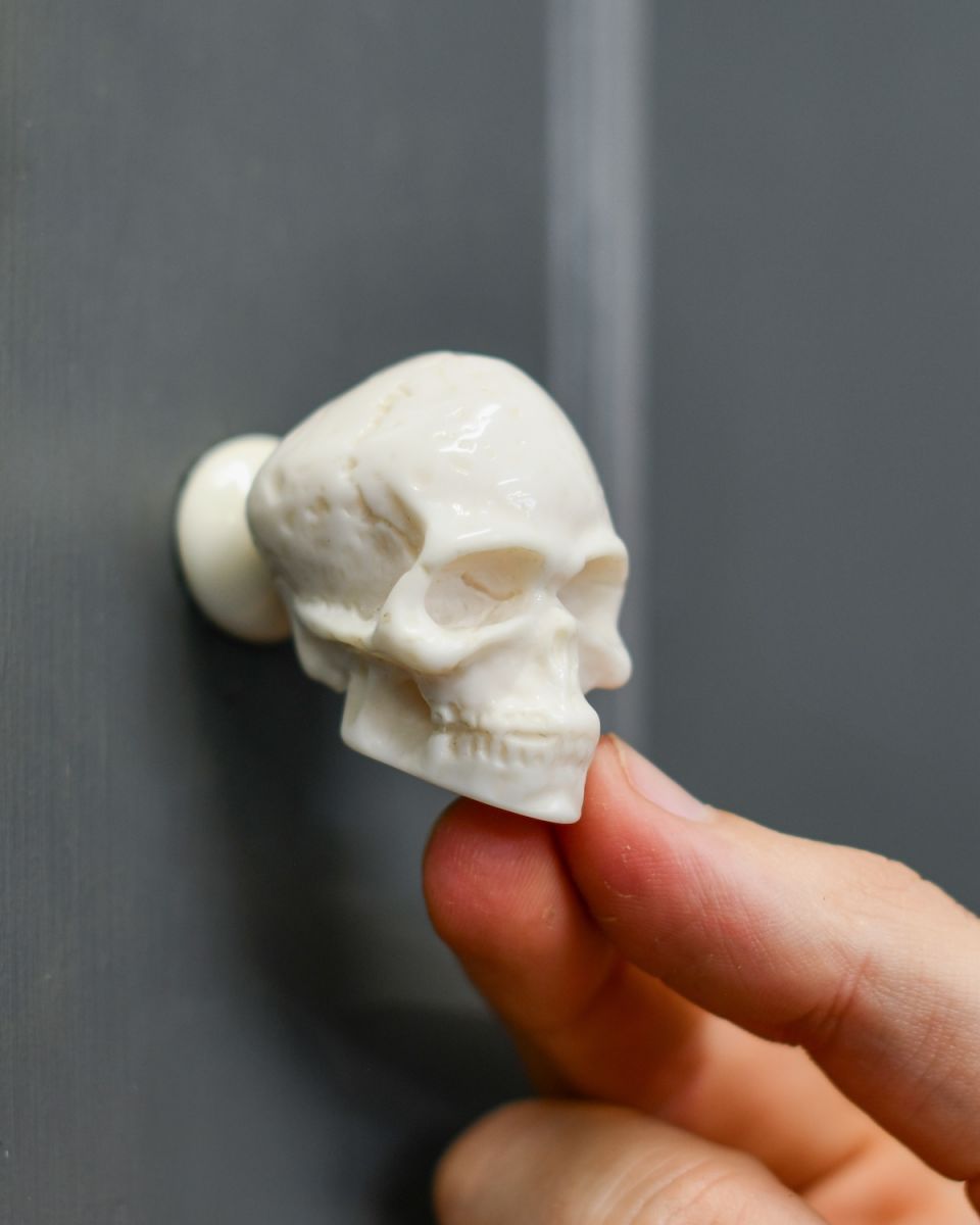 Scale image of Skull Cabinet Knob