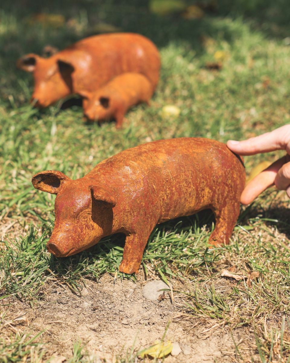 Scale of small cast iron rustic finish pig statue