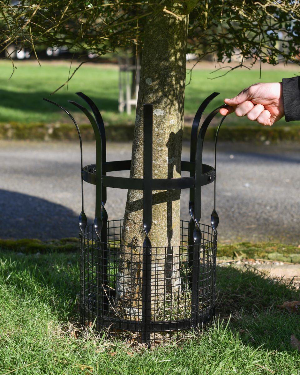 Beeston Tree Guard To Scale