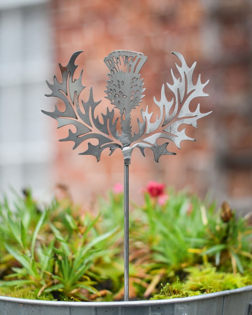 Scottish Thistle Artistic Plant Pot Spike - Set of Two