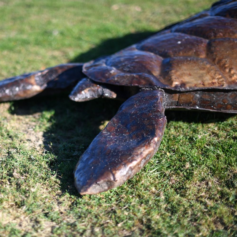 Long Legs on The Turtle Sculpture