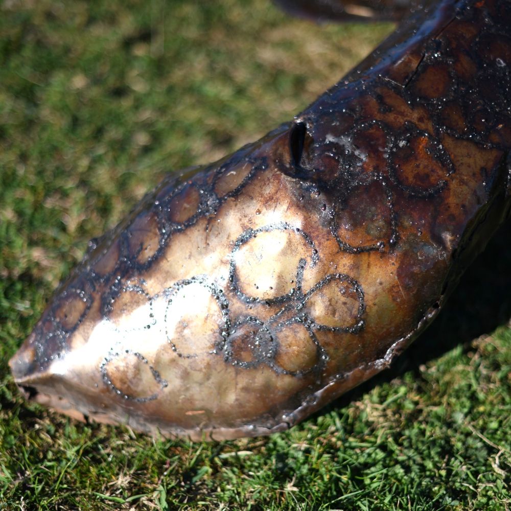 Close-up of the Turtle"s Feet