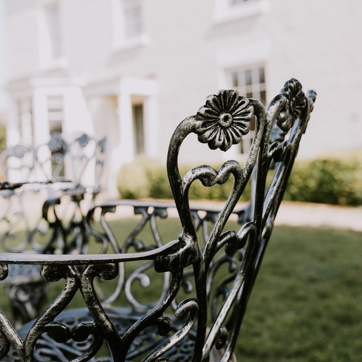 Close up of Daisy Embellishment  Close up of Daisy Embellishment