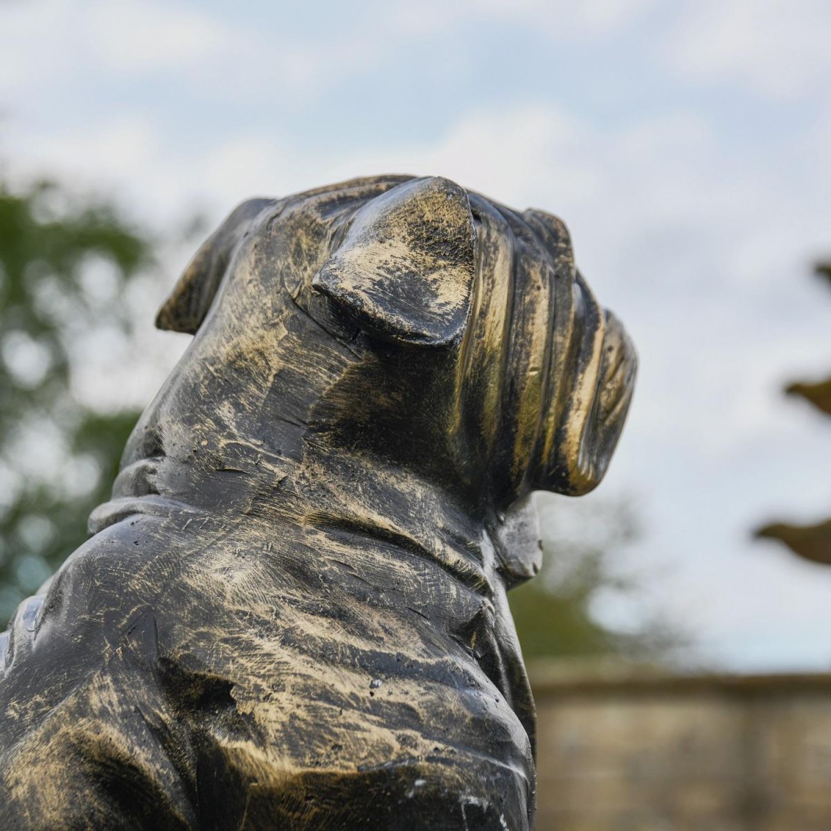 Close up of Bulldog Head  Close up of Bulldog Head