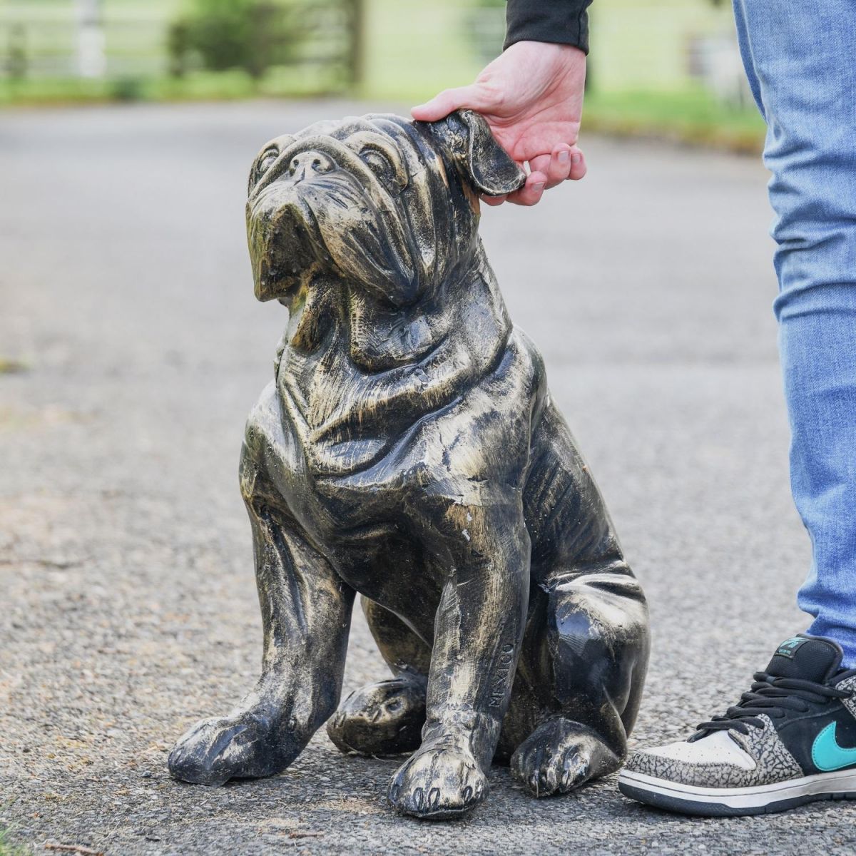 Bulldog Garden Sculpture with Male for Scale  Bulldog Garden Sculpture with Male for Scale