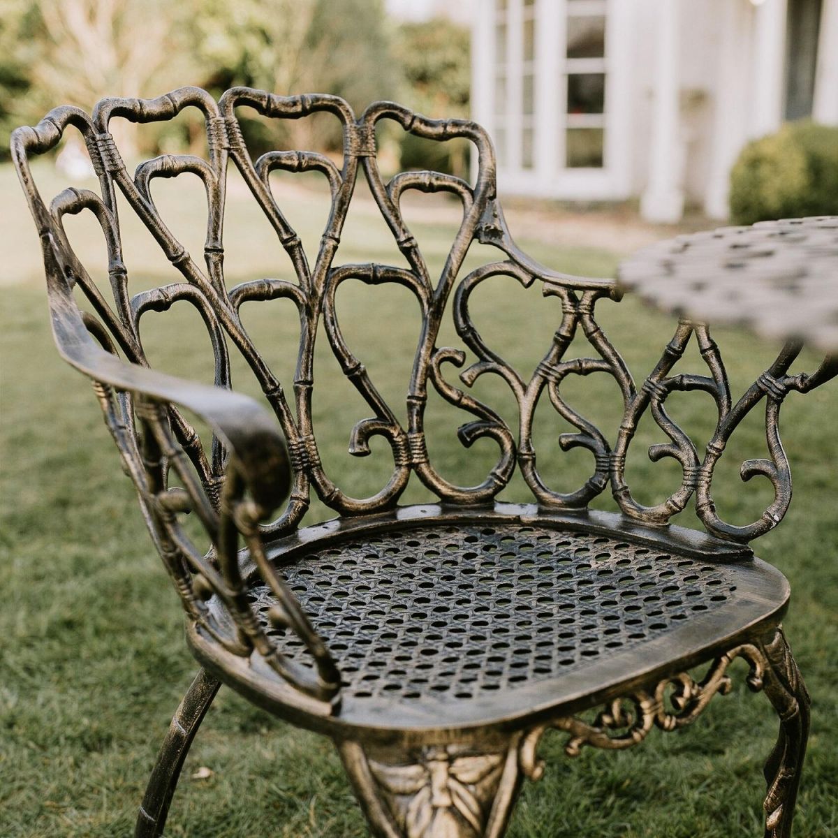 Close up of Chair in Full 