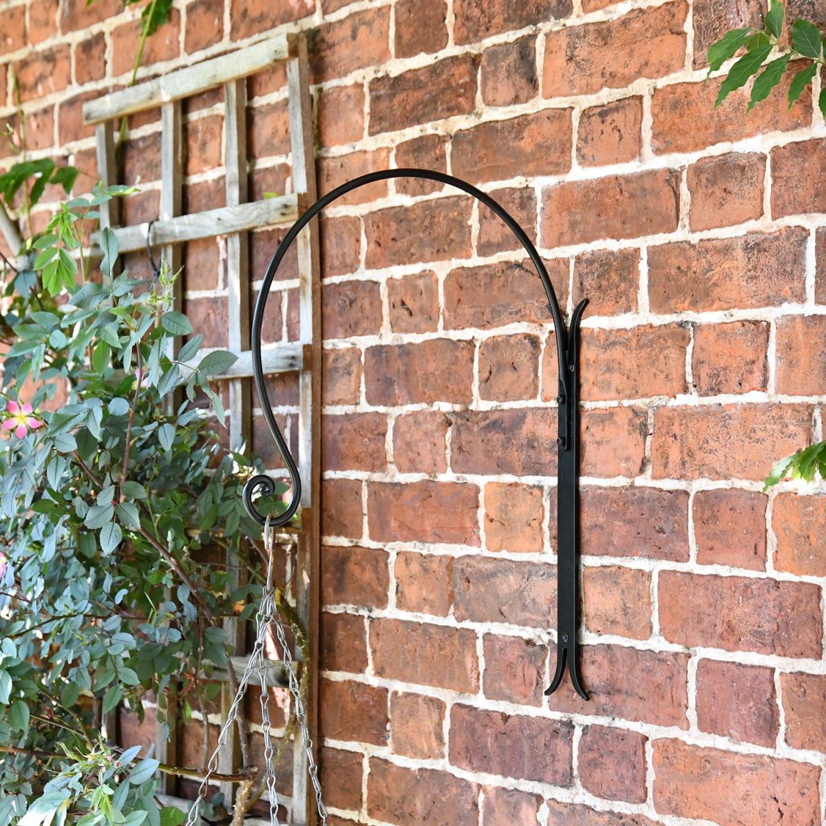 "Shepherds Crook" Hanging Basket Wall Bracket on Situ on a Garden Wall
