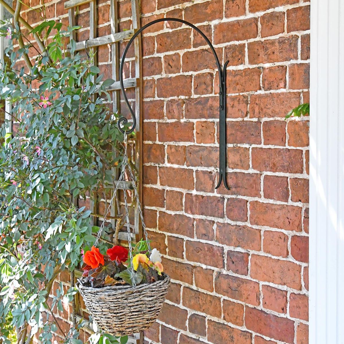 "Shepherds Crook" Hanging Basket Wall Bracket Holding a Hanging Basket