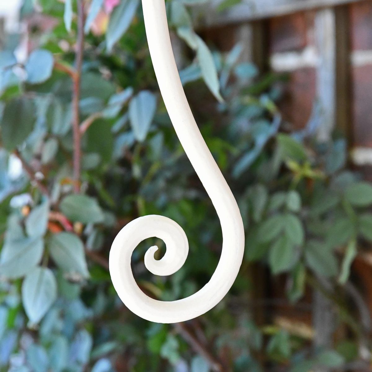 Close-up of the Ornate Scroll Design Close-up of the Ornate Scroll Design