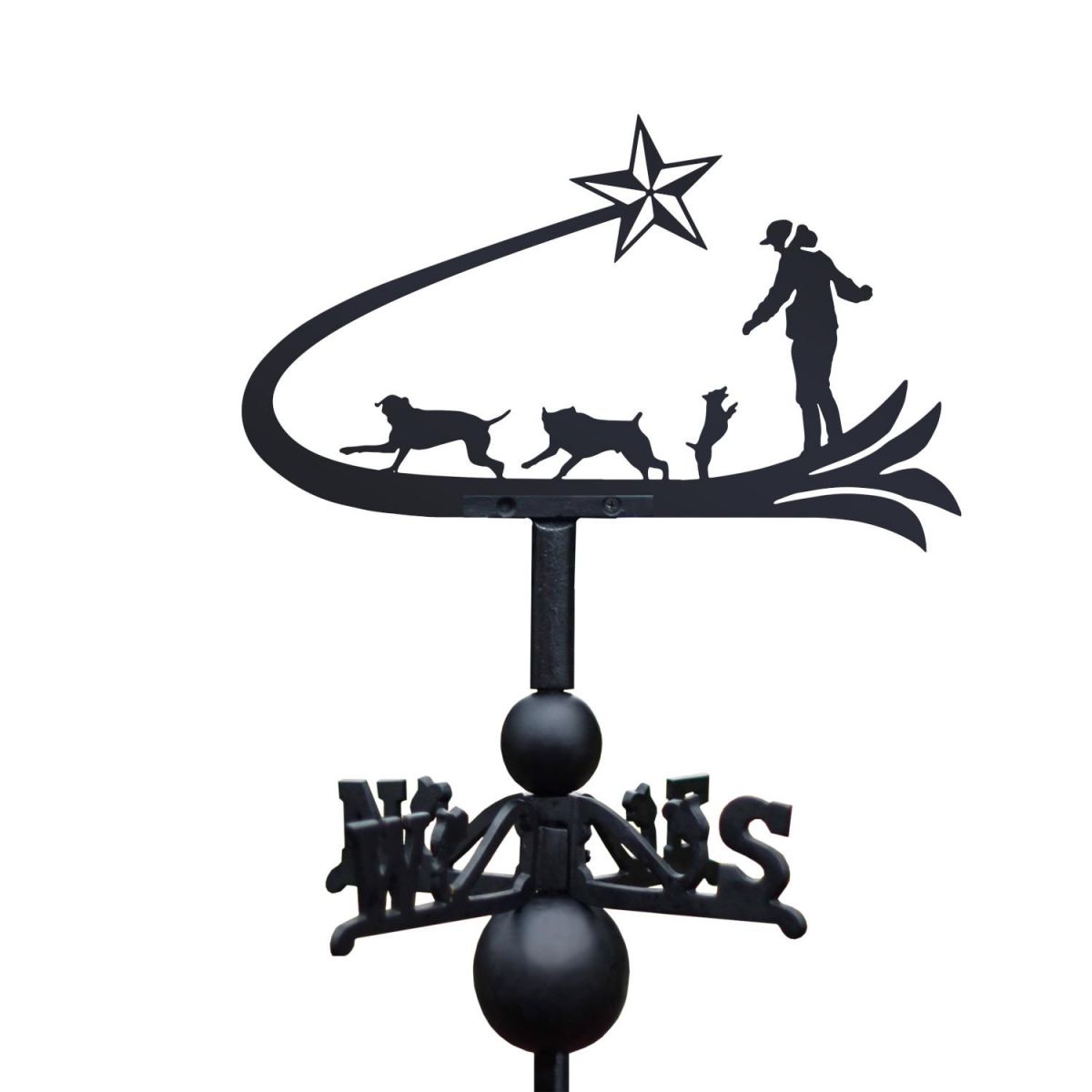 Shooting star & dogs weathervane on a white background