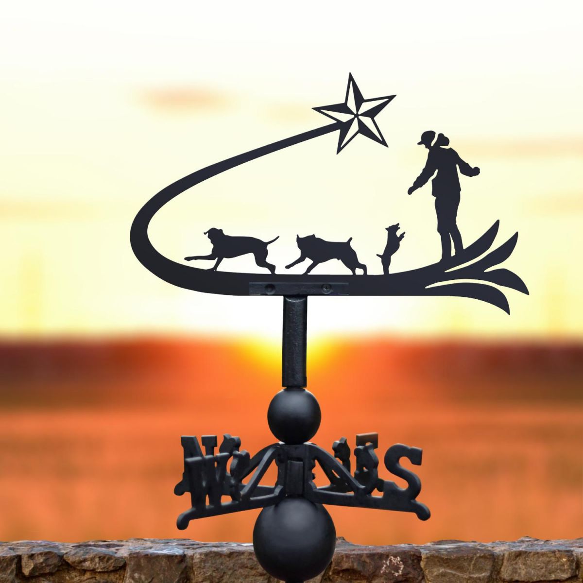 Shooting star & dogs weathervane in the sunset