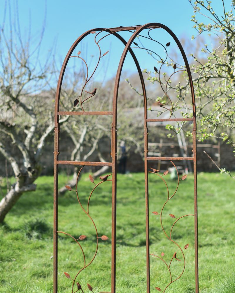 Ornate Floral "Corolla" Rose Arch Created Out of Rustic Steel