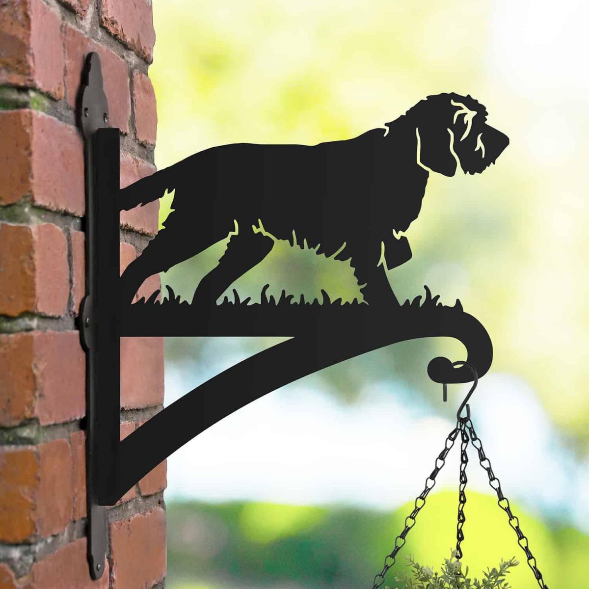 Single Korthals Griffon Hanging Basket Bracket in Situ