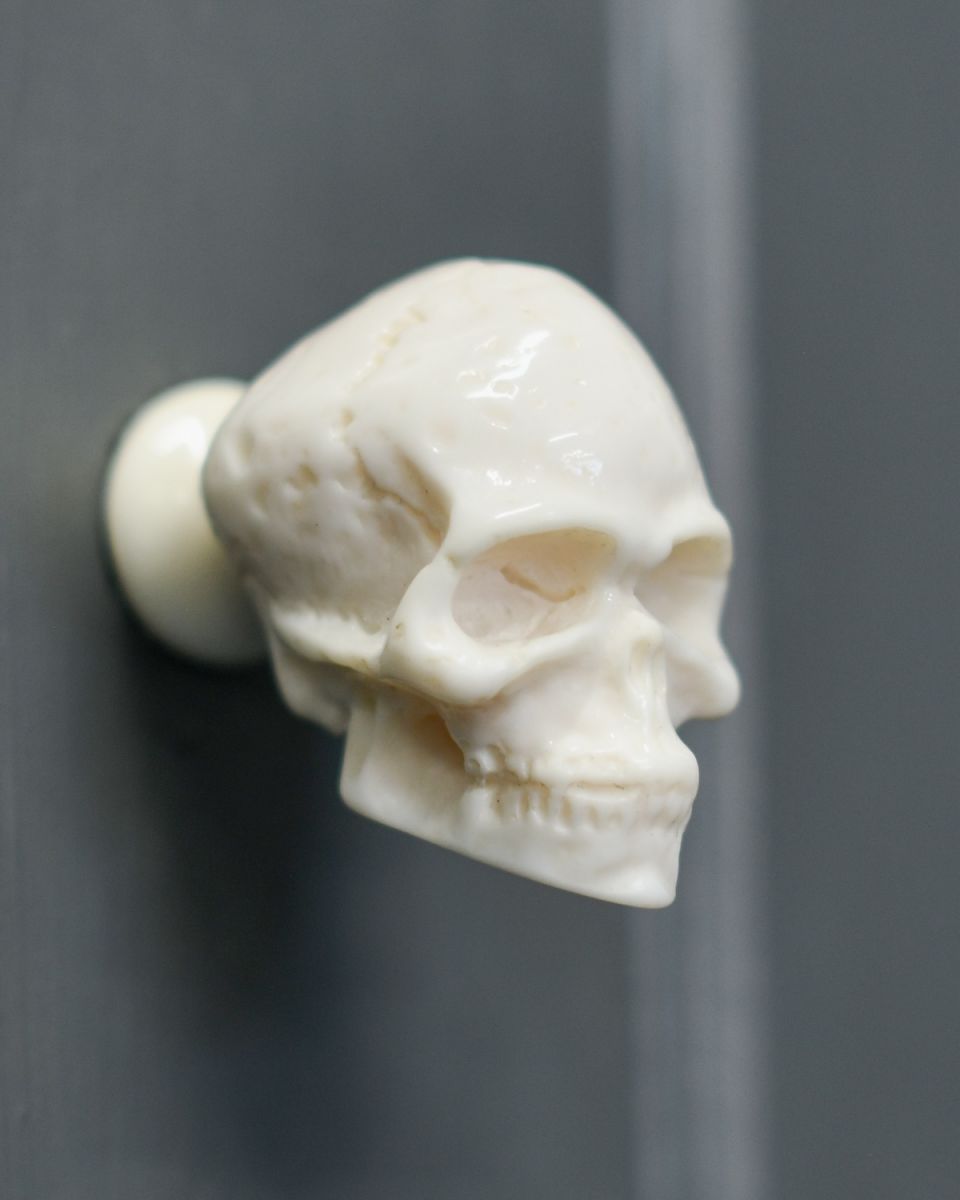 Close up of Skull Cabinet Knob