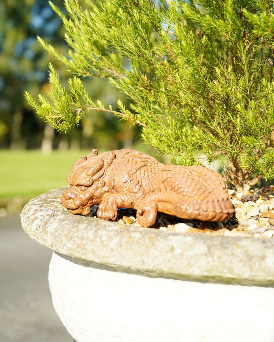 Rustic Sleeping Cast Iron Dragon Back Rustic Sleeping Cast Iron Dragon Back