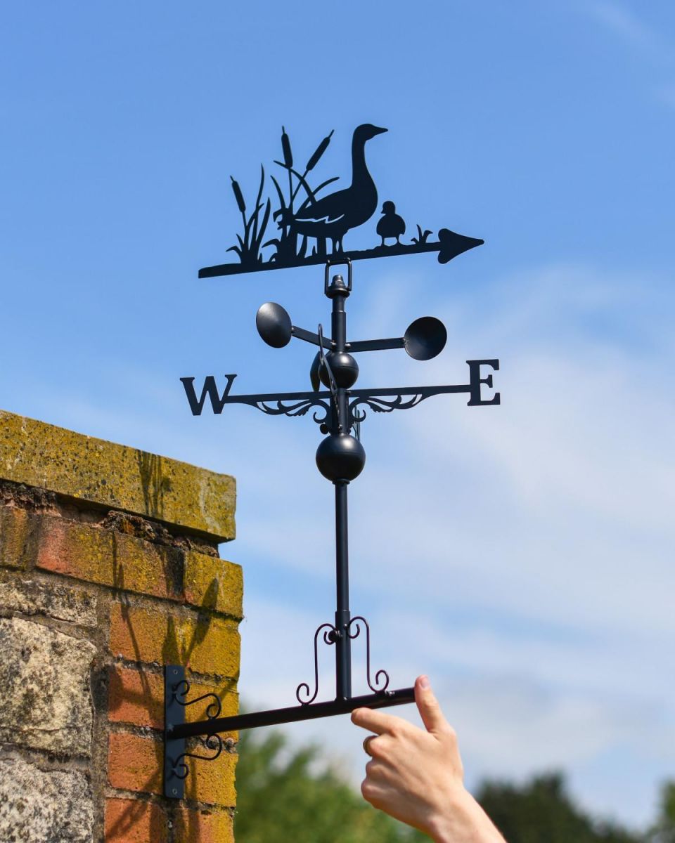 Scale Shot of Slim Steel Mother Duck & Duckling Weathervane