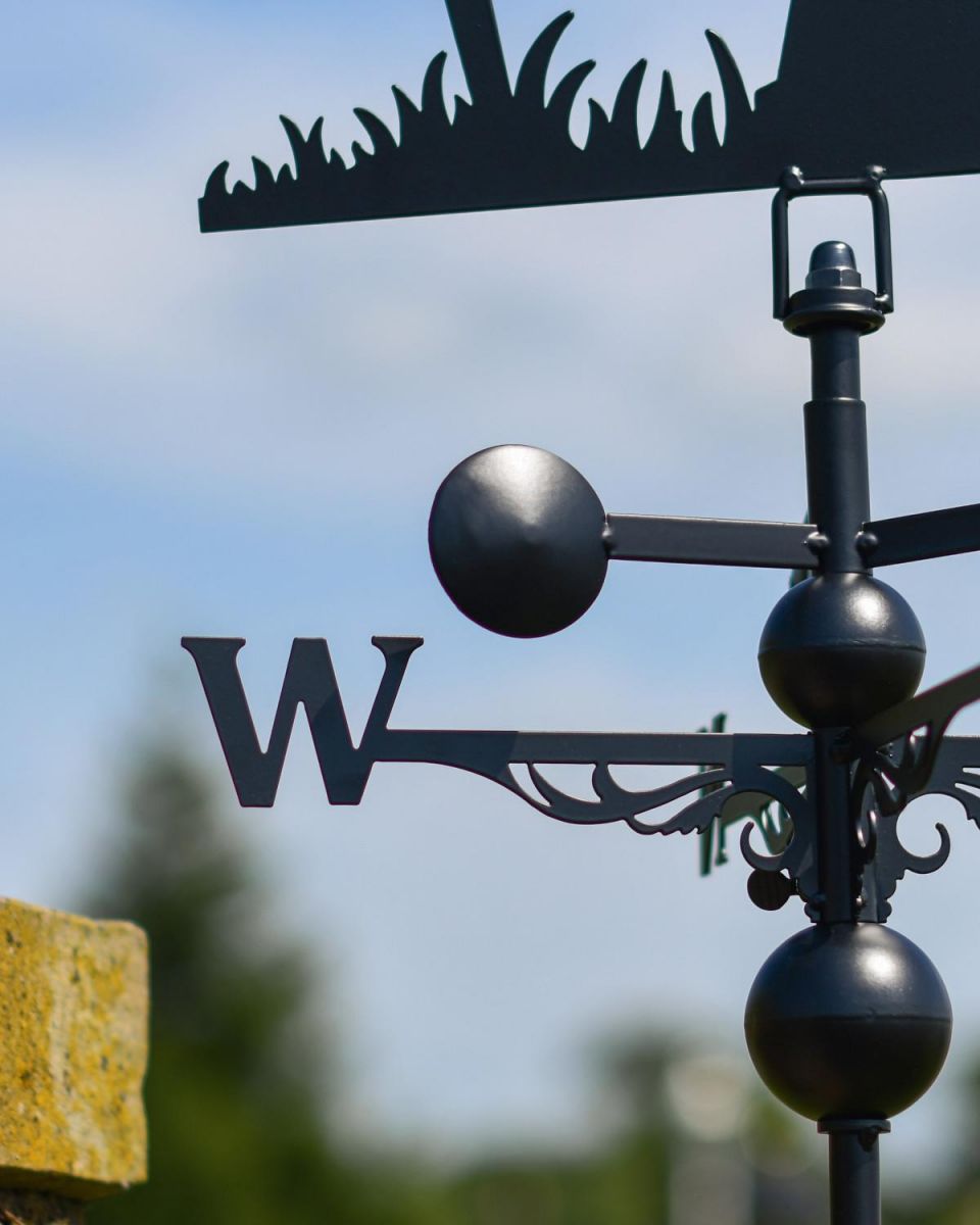 Close-Up of Directional Arms for Slim Steel Pair of Robins Weathervane