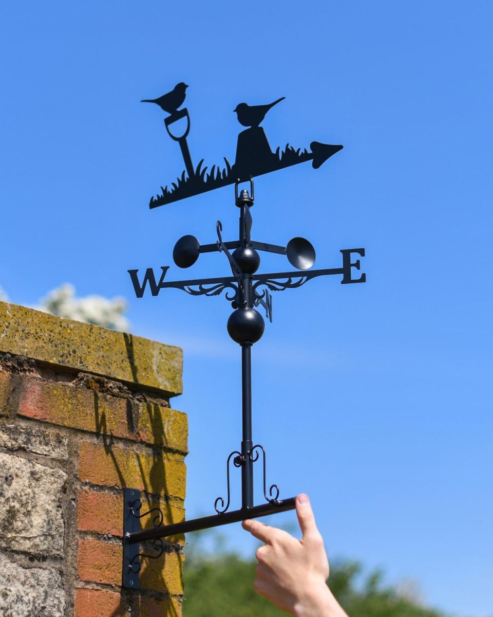Scale Shot of Slim Steel Pair of Robins Weathervane