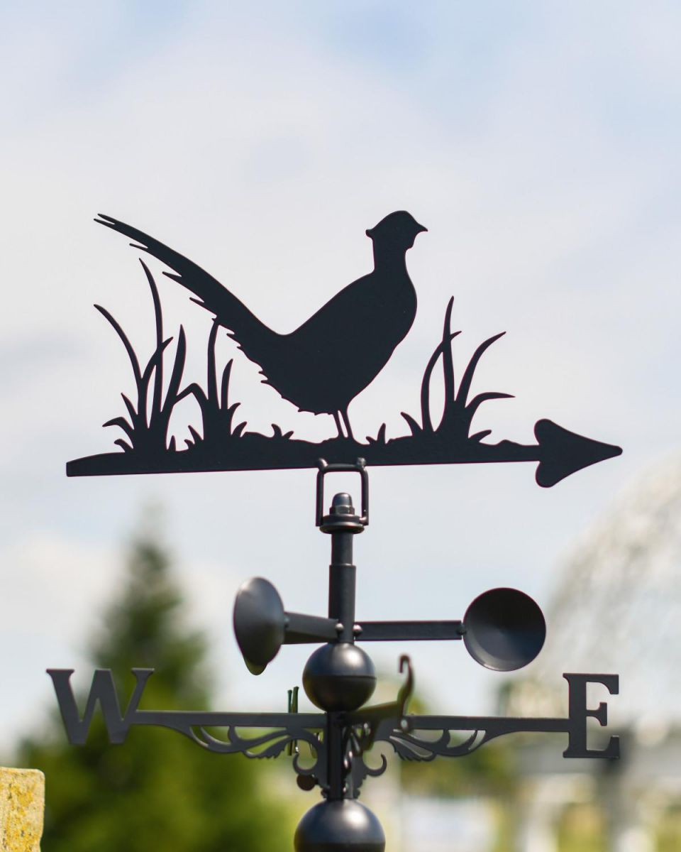 Close-Up of Pheasant Topper for Slim Steel Weathervane
