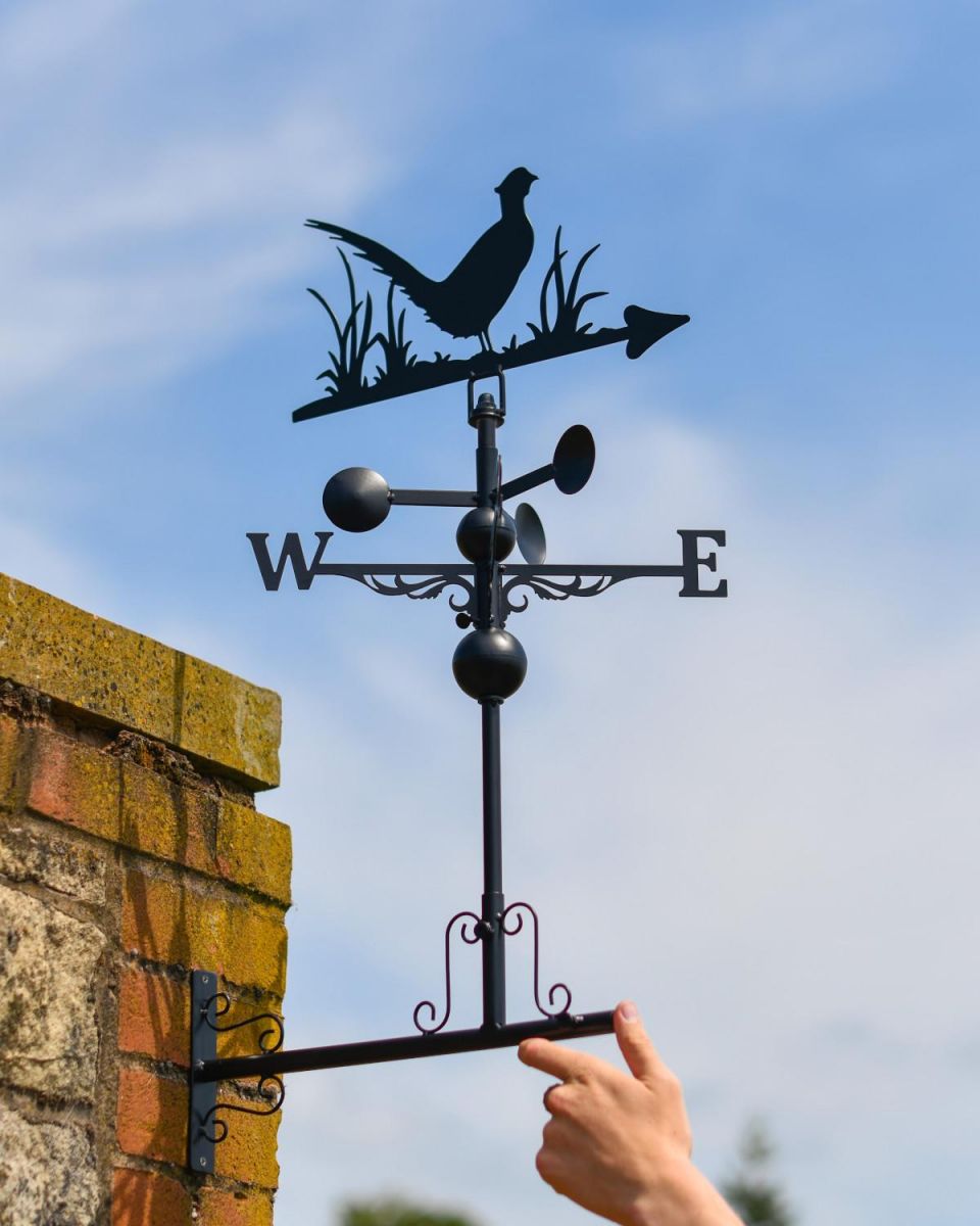Scale Shot of Slim Steel Pheasant Weathervane