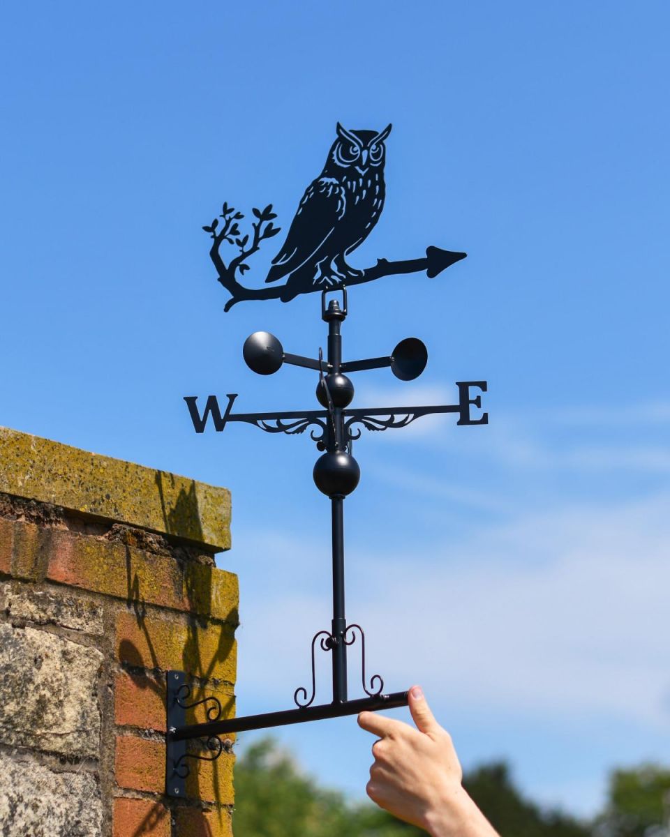 Scale Shot of Slim Steel Wise Owl Weathervane