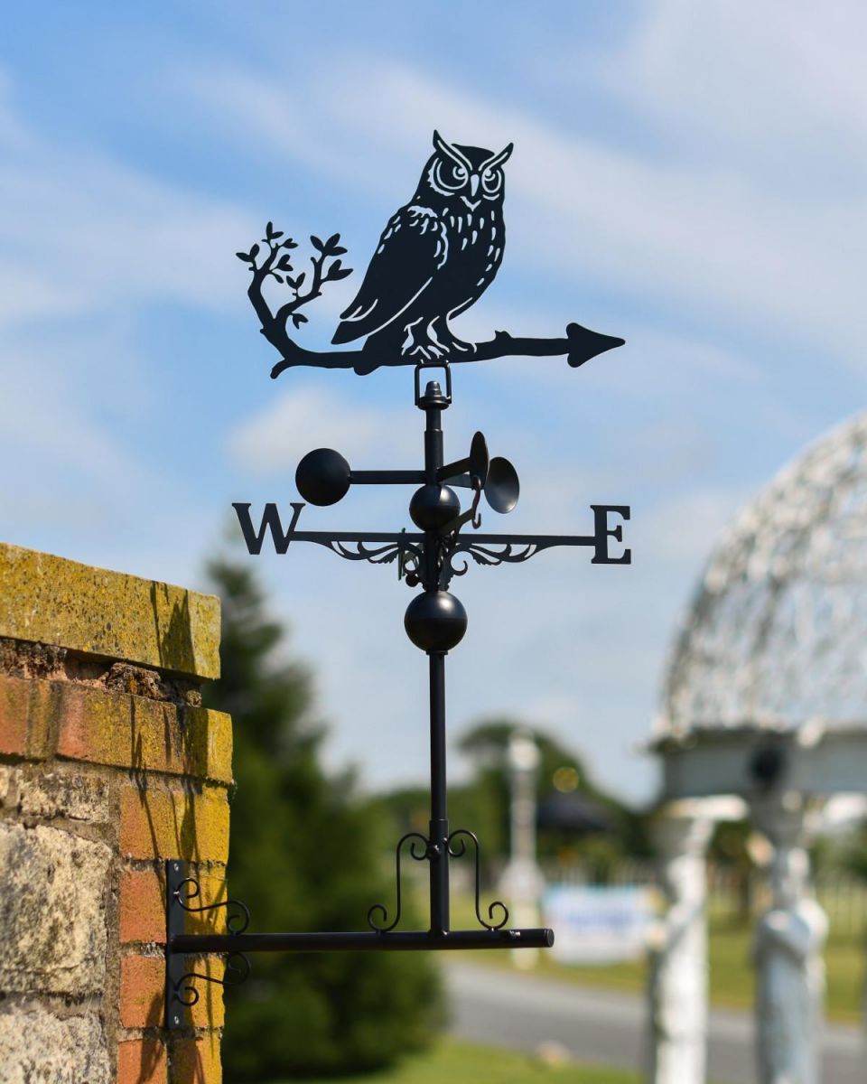 Slim Steel Wise Owl Weathervane with Horizontal Mounting Bracket