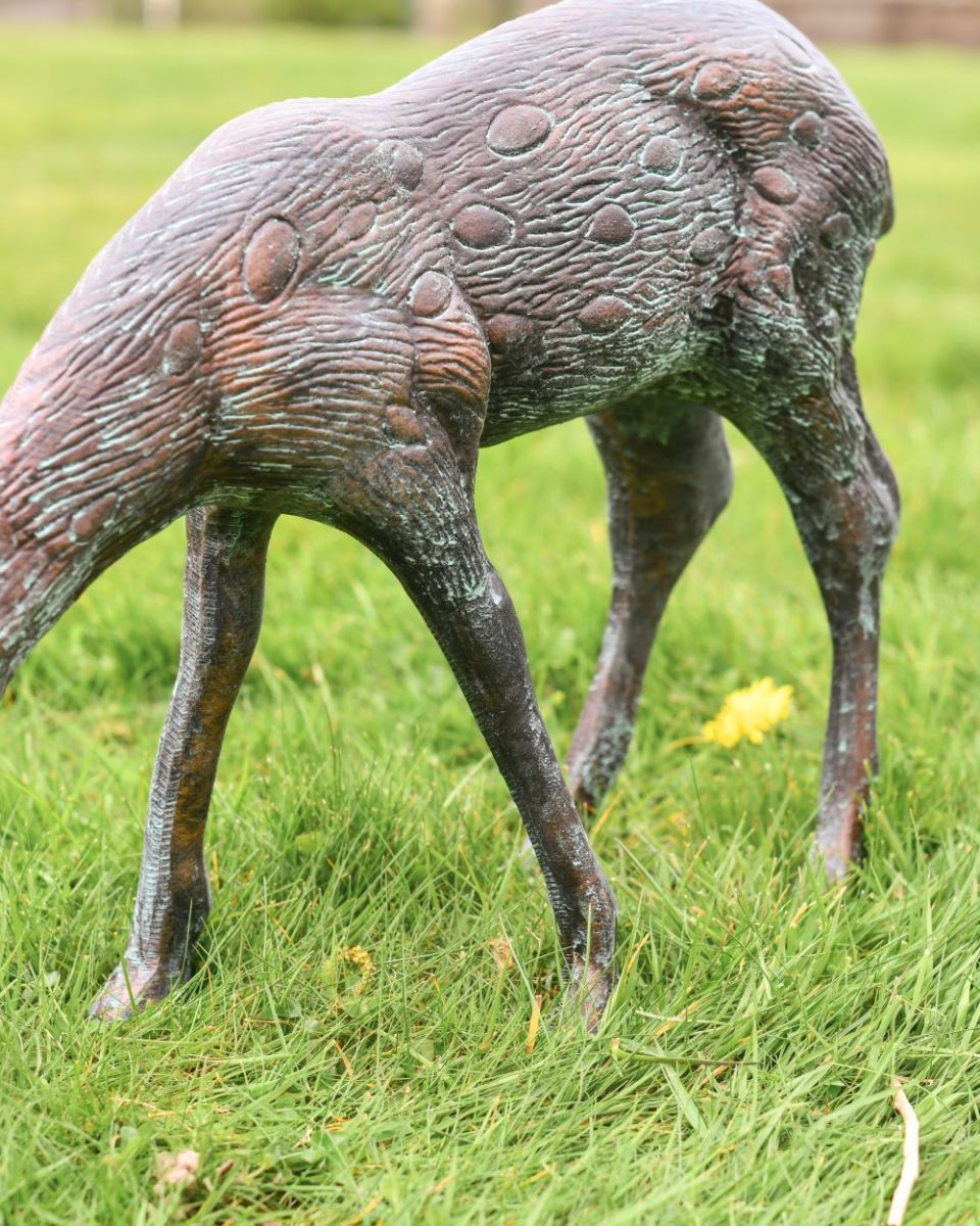 Small Verdigris Grazing Doe close up of body