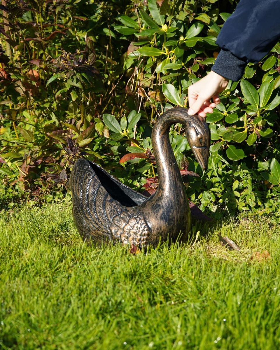 Small Version of the Decorative Swan Garden Planter in a Black and Gold Finish with Hand in Shot for Scale