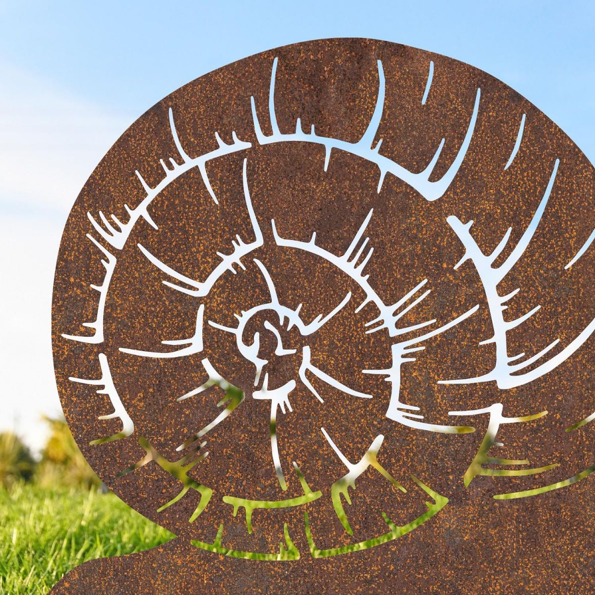 Close up of snail shell silhouette 