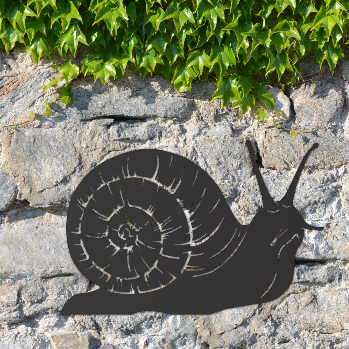 Black Snail Wall Art 