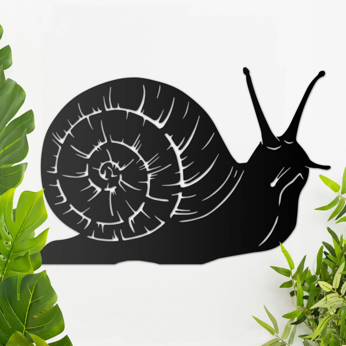 Wall Art of Snail 