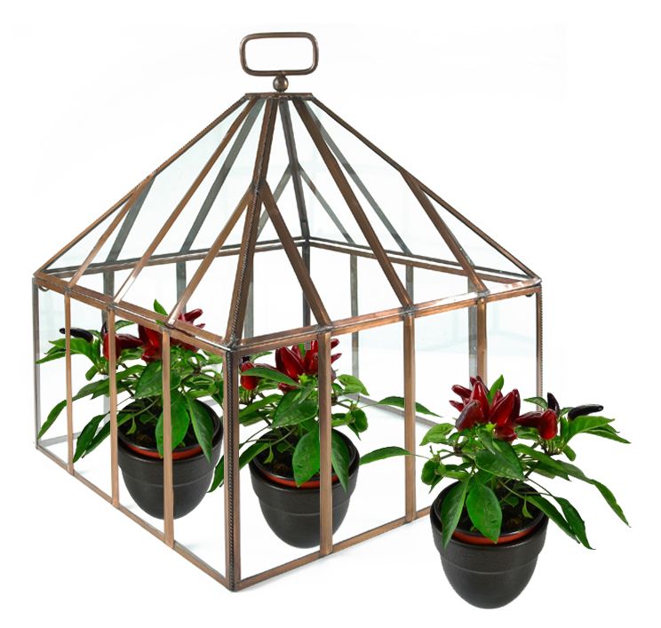 Square Copper and Glass Mini Greenhouse Cloche