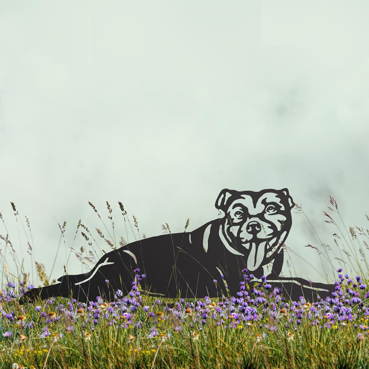 Staffordshire Bull Terrier Silhouette on Display in the Garden Staffordshire Bull Terrier Silhouette on Display in the Garden