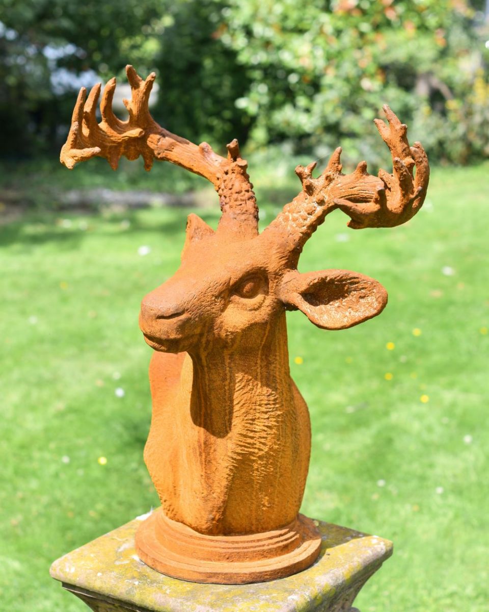 Stag Bust Side View Stag Bust Side View