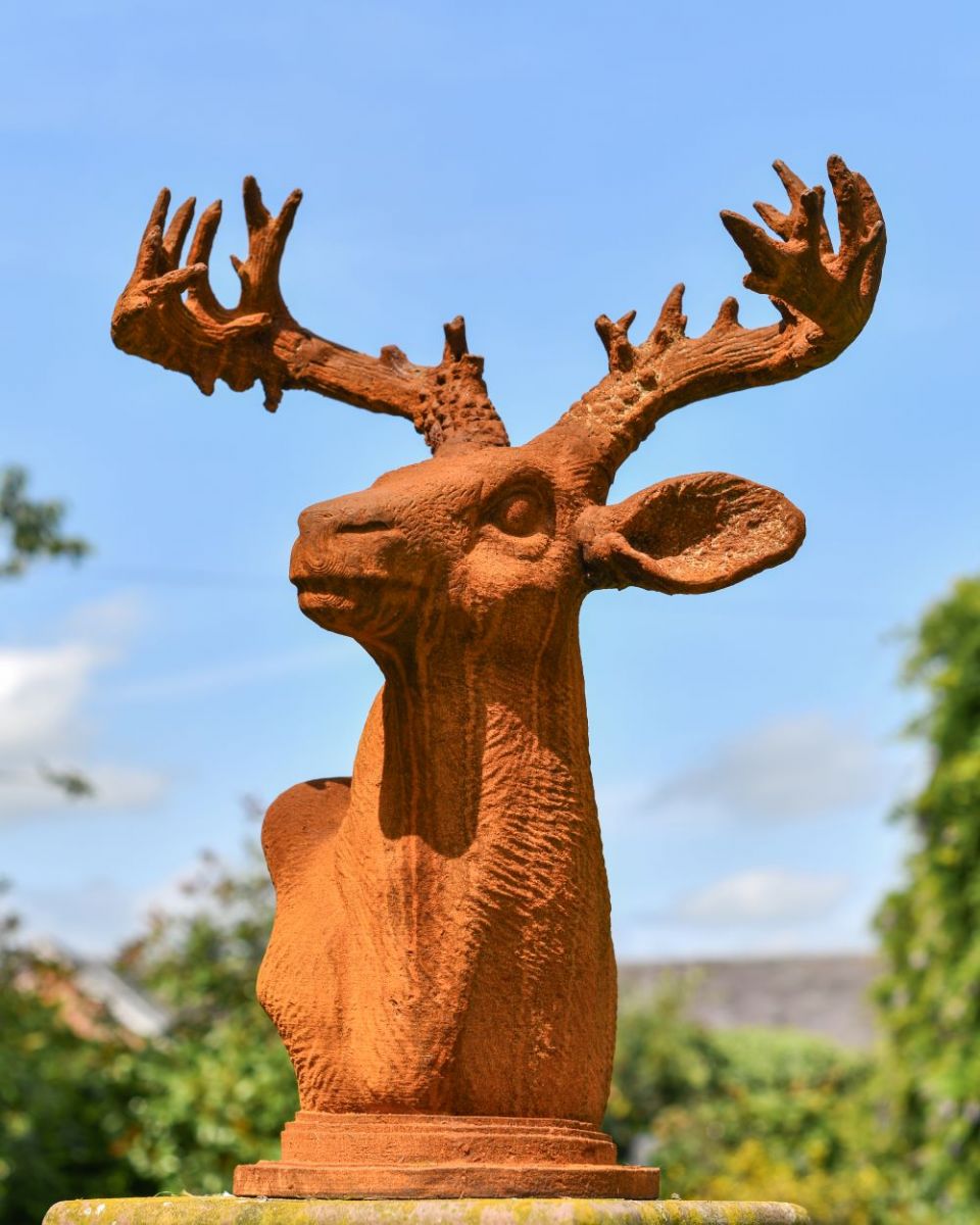 Rustic Stag Facing Right Cast Iron Bust Rustic Stag Facing Right Cast Iron Bust