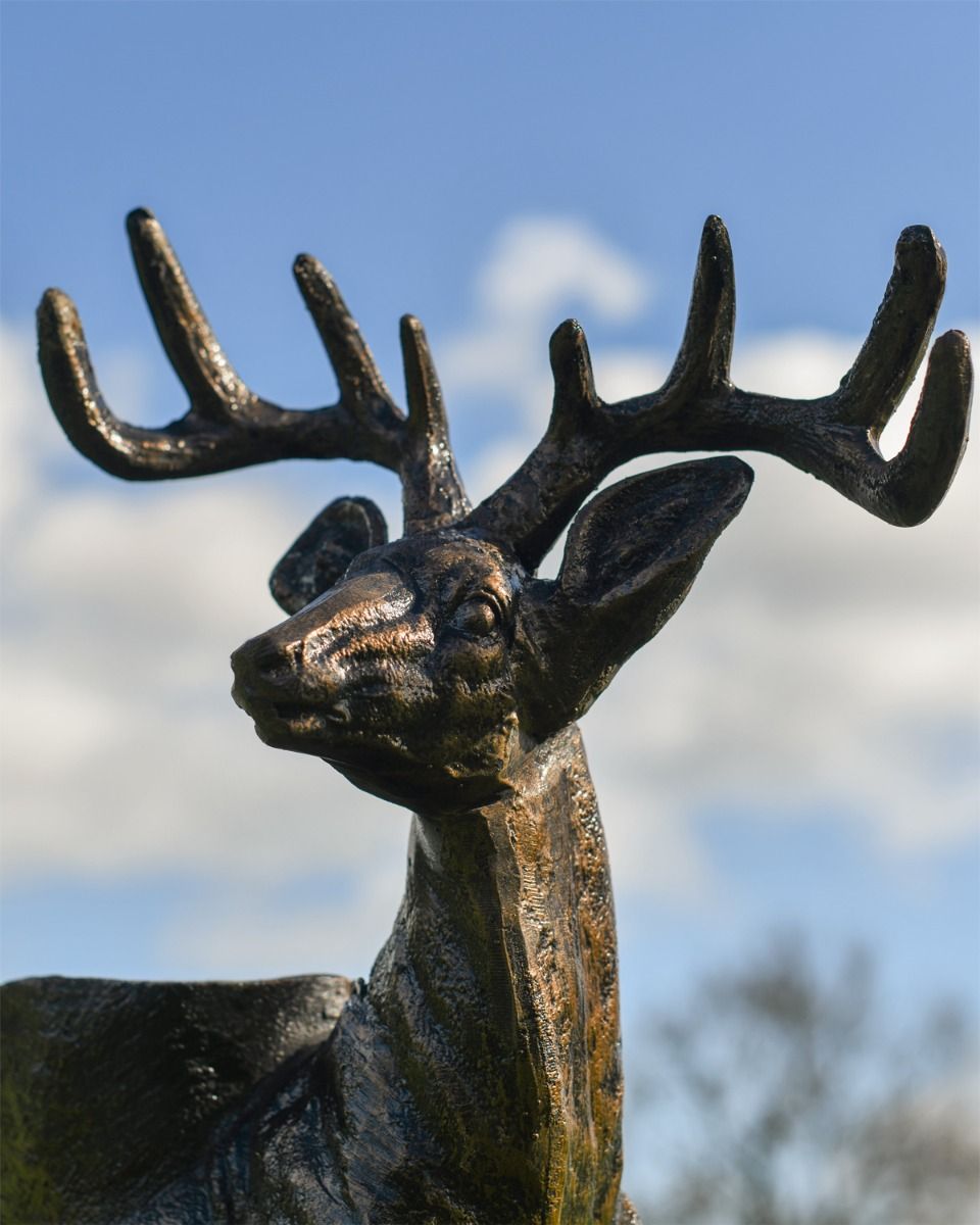 Close Up of Stags Face on Brushed Bronze Planter 